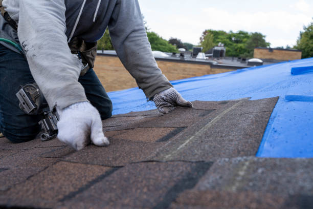 Best Roof Repair Services  in Halfway House, PA
